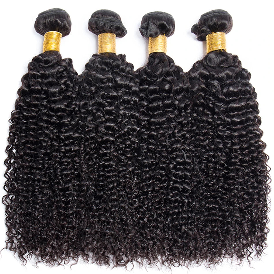 Brazilian Kinky Curly Wave